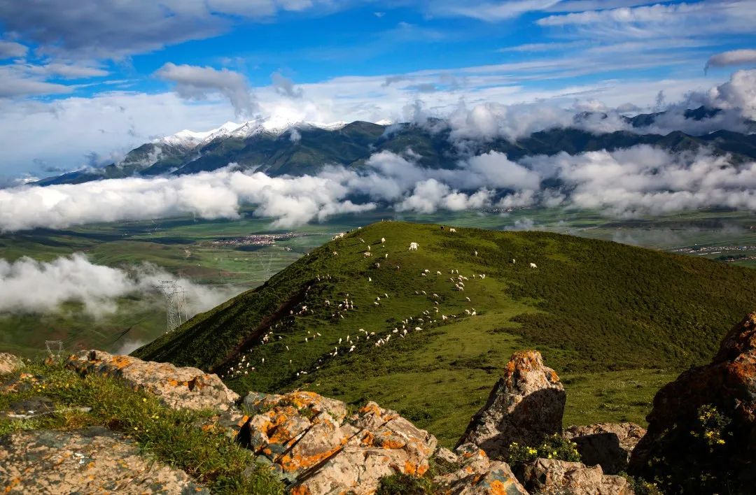 印象天祝 ‖ 草原牧歌