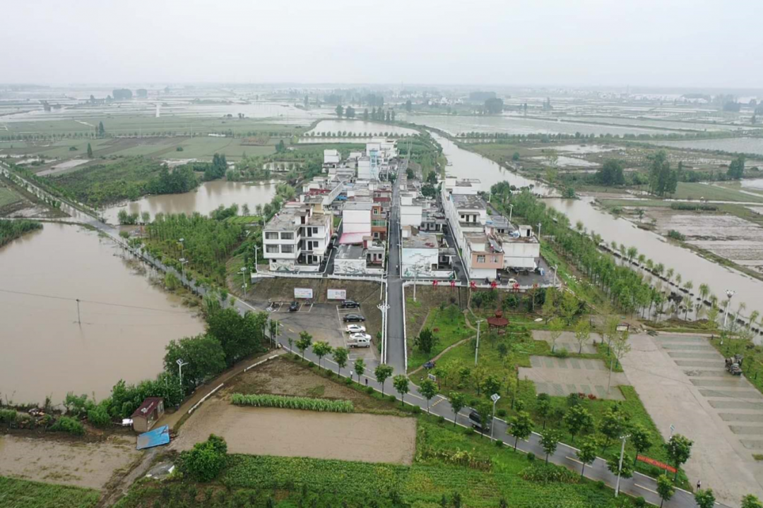 庄台"四小园"建设—蒙洼人民积极应对洪涝灾害的智慧结晶