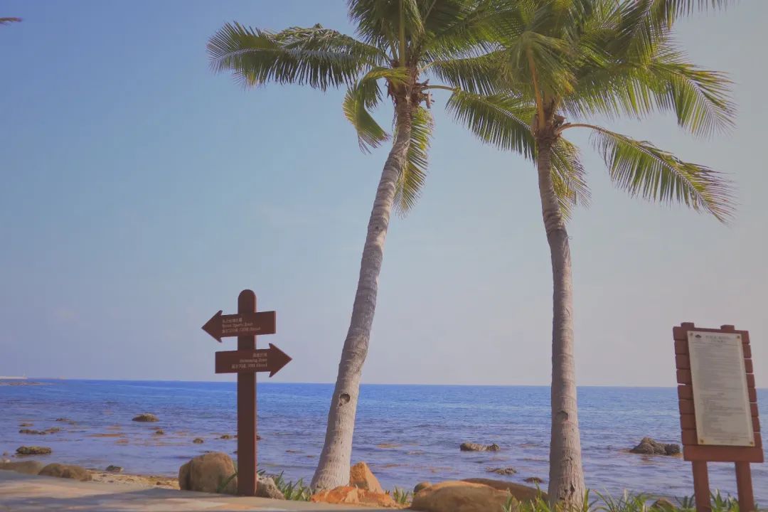 三亚珊瑚湾文华东方酒店2晚,邂逅艺术家刘若望雕塑展!