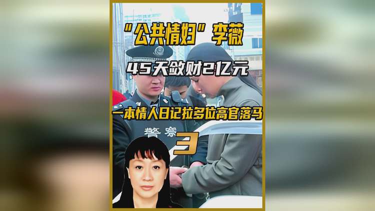 "公共情妇"李薇45天敛财2亿,日记揭露黑幕,使多位高官入狱!