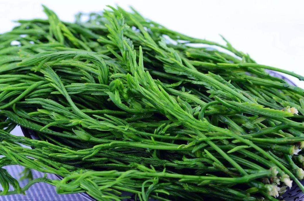 比鱼腥草还可怕的臭菜,云南人却爱不释手,它到底有什么魅力?