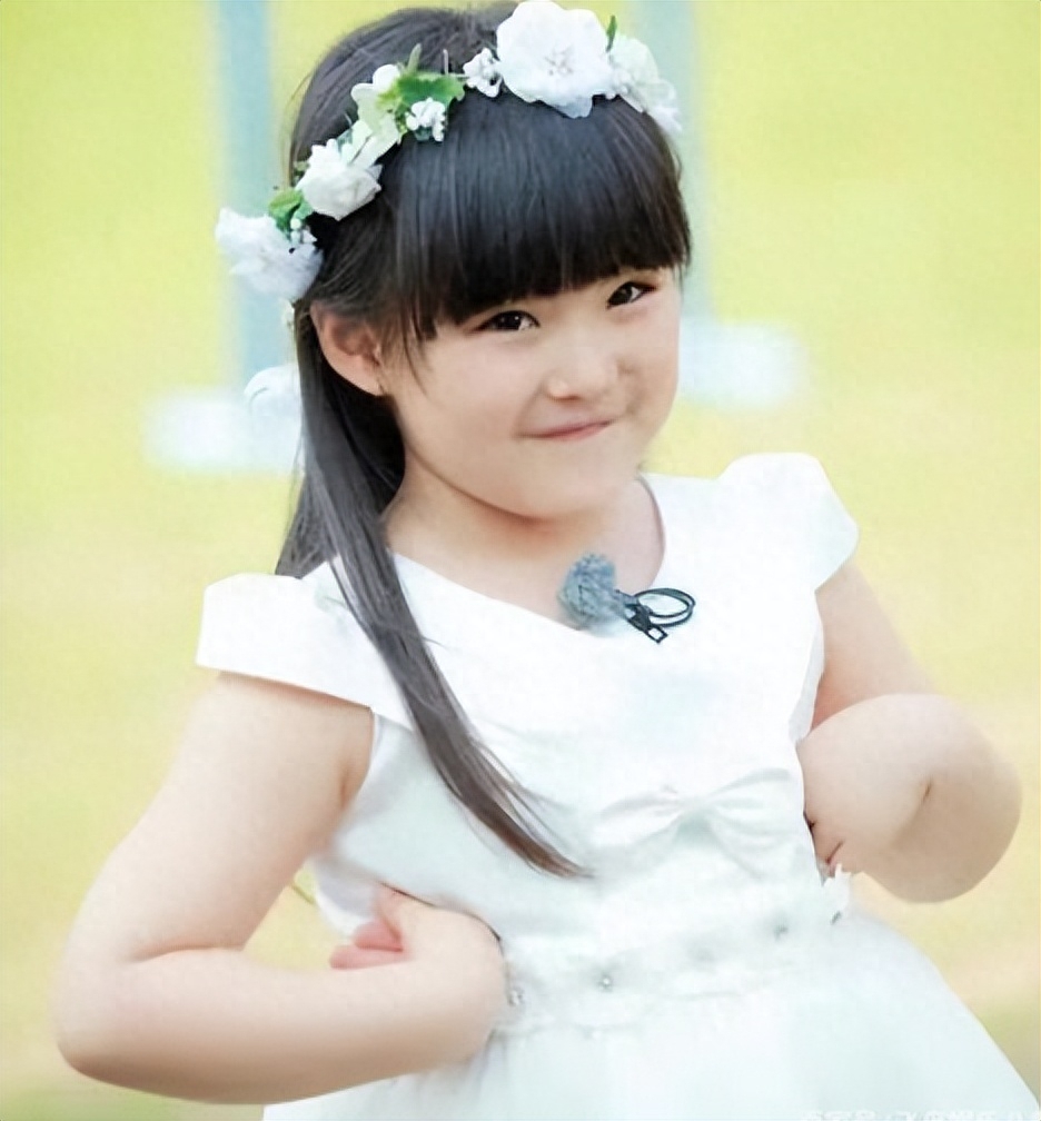 回顾命里带钱的李湘离婚不离家将女儿王诗龄富养成公主