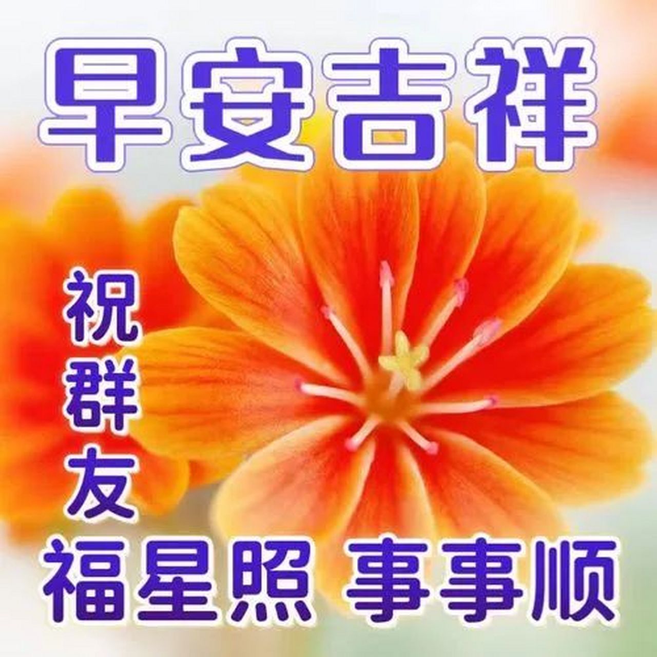 今日最新早上好图片大全,平安吉祥,万事如意! 早上好!