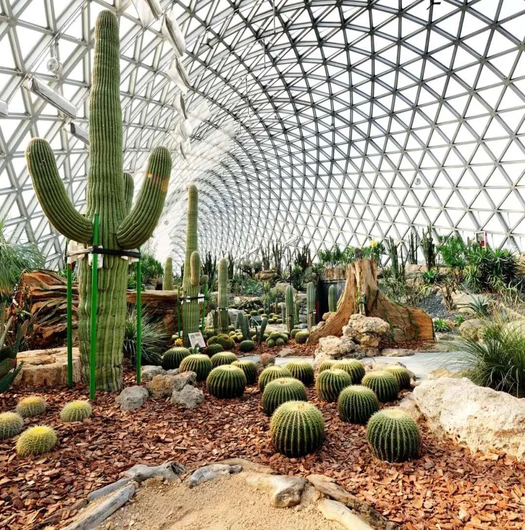 松江的ta!2020年度中国最佳