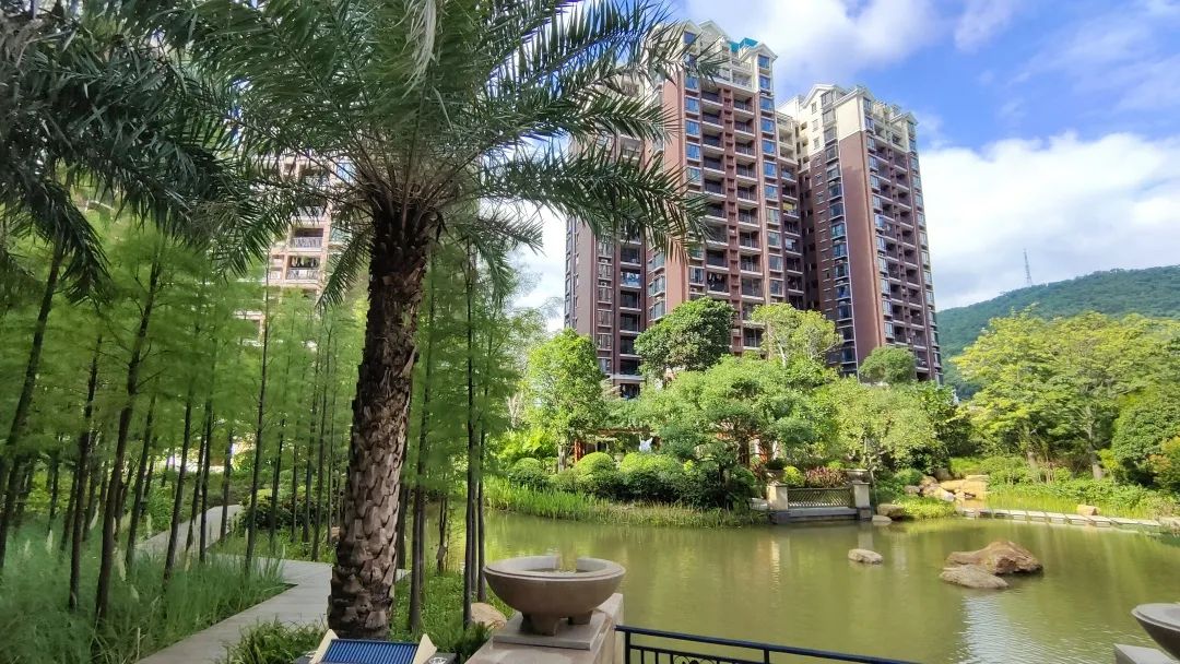 增城 金时花园 80㎡~180㎡住宅 别墅 山水环绕