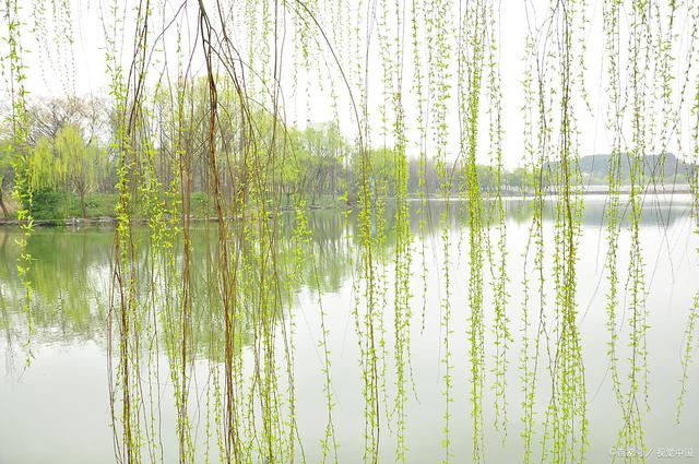 58首寫春天春風春雨春雪春雷春花春梅春柳的經典詩詞,你讀過幾首