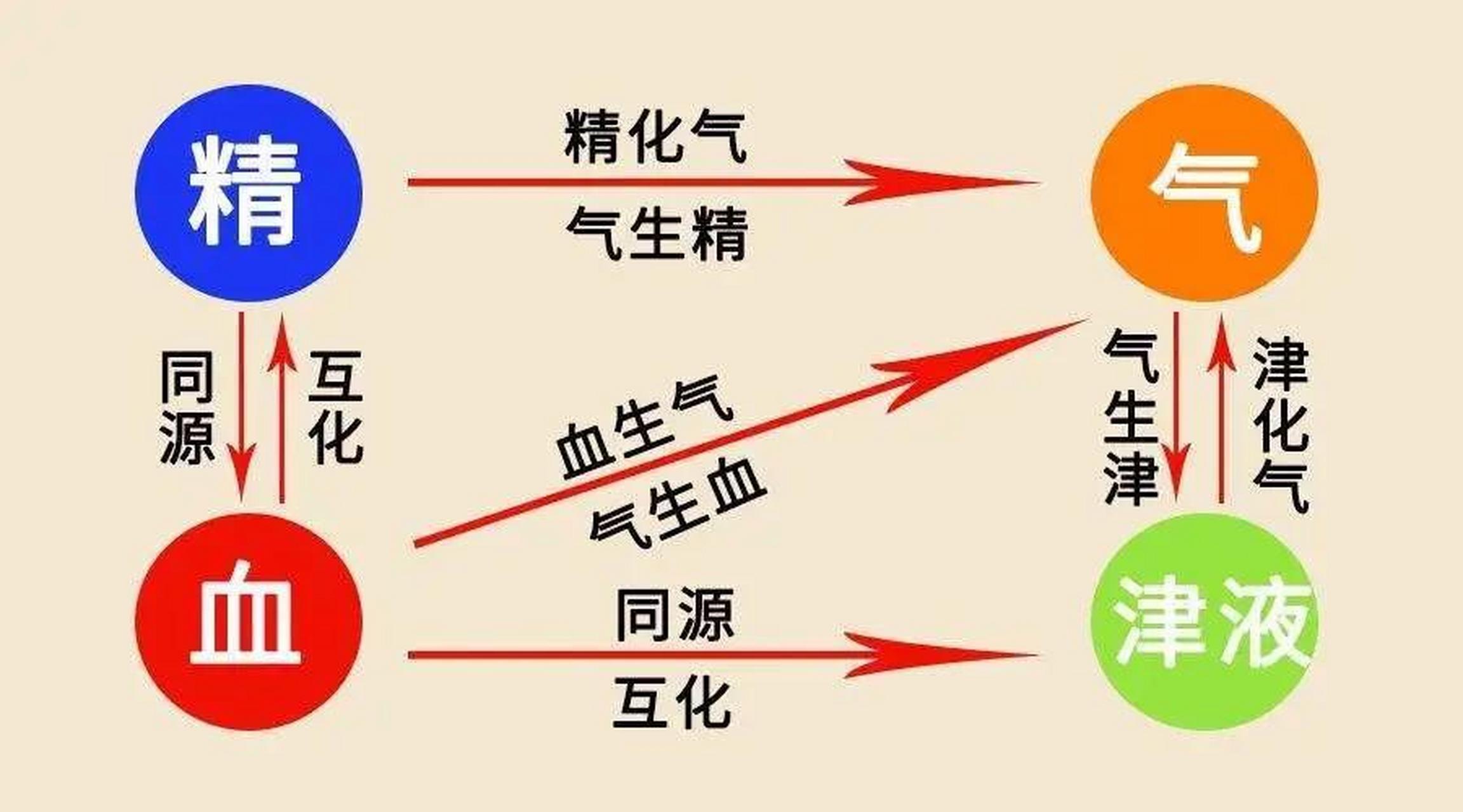 冬季是补肾的黄金时期,送你5个药,气虚,阴虚,阳虚,统统搞定