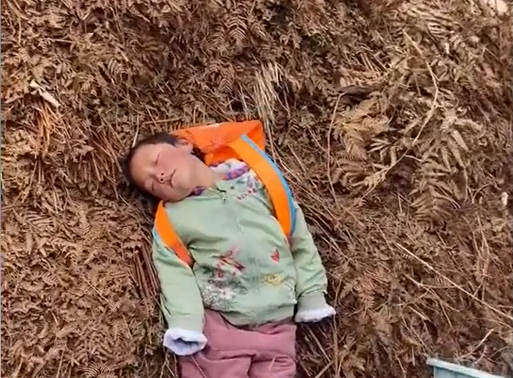 四川孩子玩累了在草垛上睡觉惹人心疼,网友:孩子都自己照顾自己