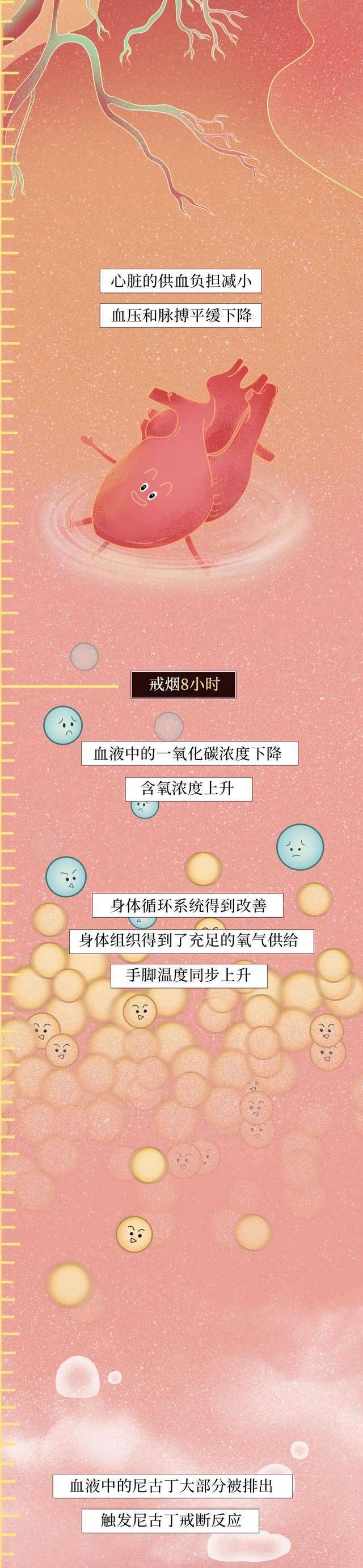 漫画:戒烟后人体变化图鉴,看完你会"动摇"