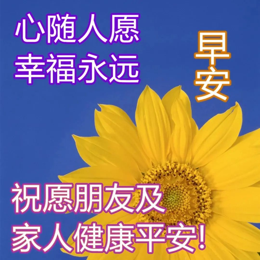 周五慰问朋友早上好问候语大全,最漂亮的早安图片带祝福语