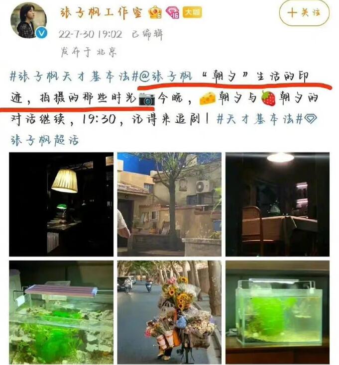 张子枫盗图是什么梗 张子枫盗图事件是怎么回事