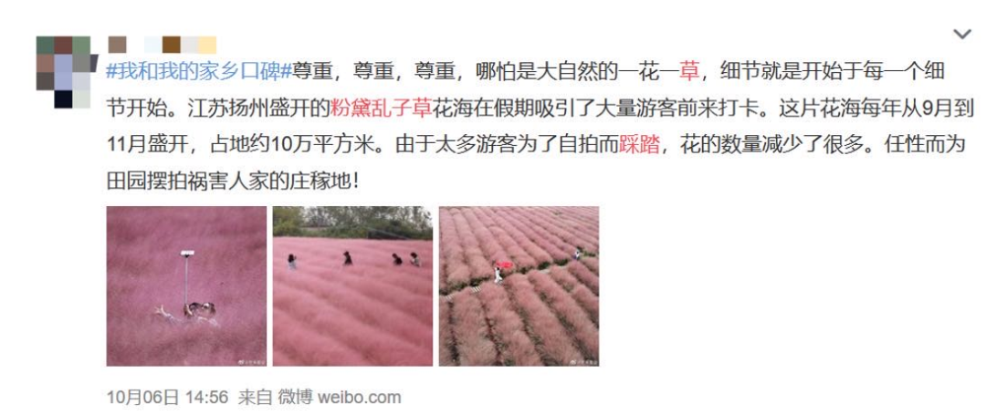 热点|“进入花田你没有花美！”景区一段硬核喊话爆火，网友：你大妈还是你大妈