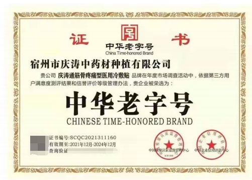 陈开才——「大国艺术 中外交流」·著名中医