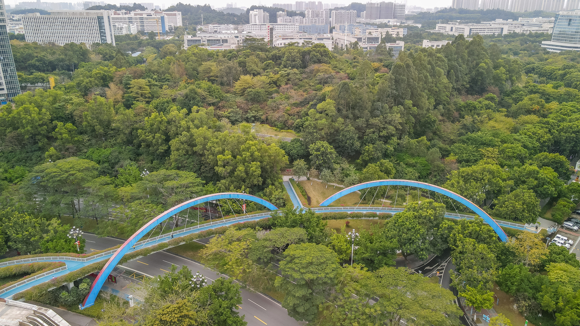 广州超适合骑行的绿道,空中廊桥与山体公园相连,周末亲子好去处