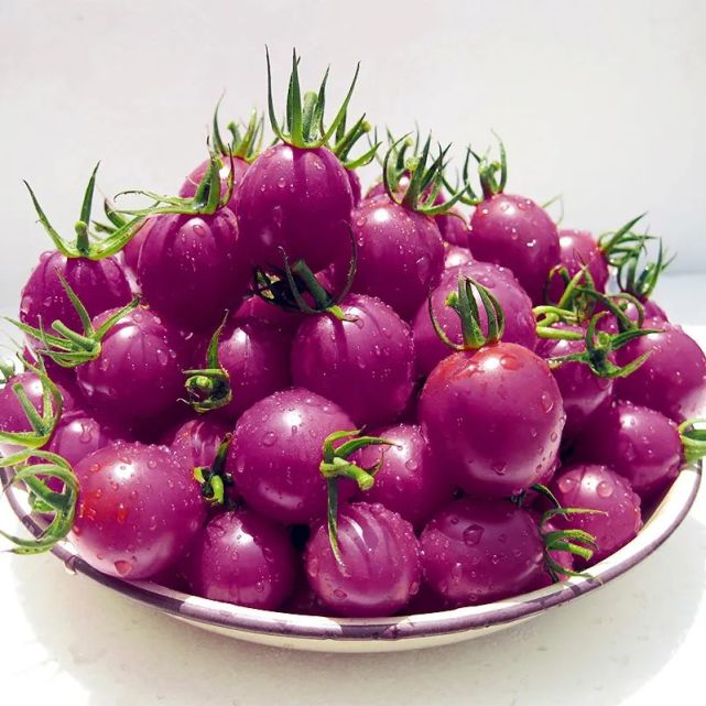 新奇特小番茄品种!