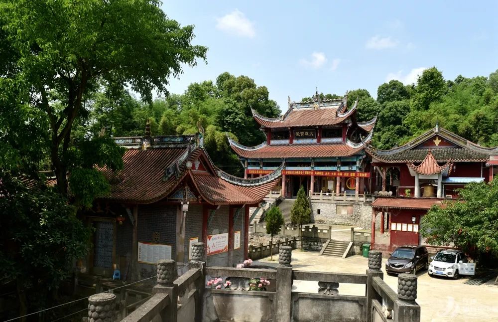 昨晚,龙华镇,火出圈啦!