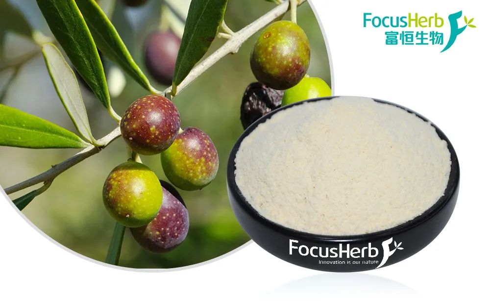 羟基酪醇作为食品天然防腐剂的研究