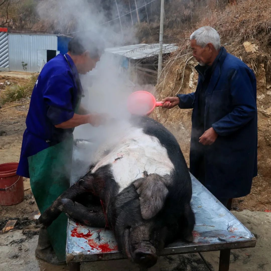 英山县老县长易茂先:我终于光荣地当上了猪贩子