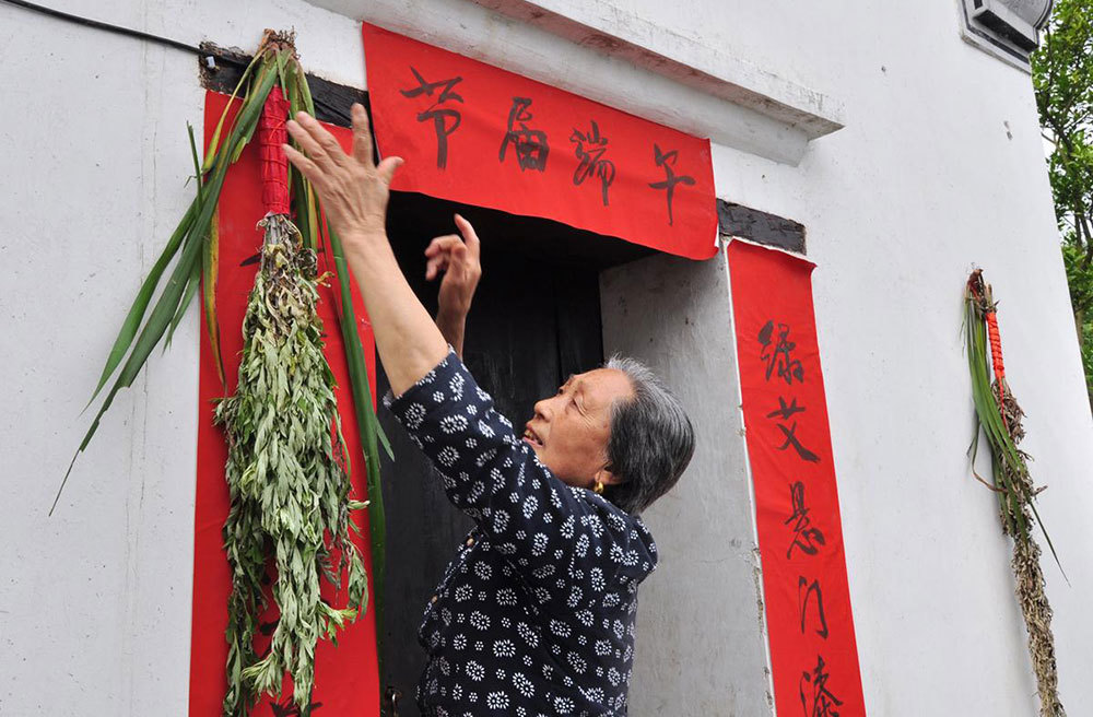 端午将至,挂艾草有何讲究?艾草何时割,挂多久取下?