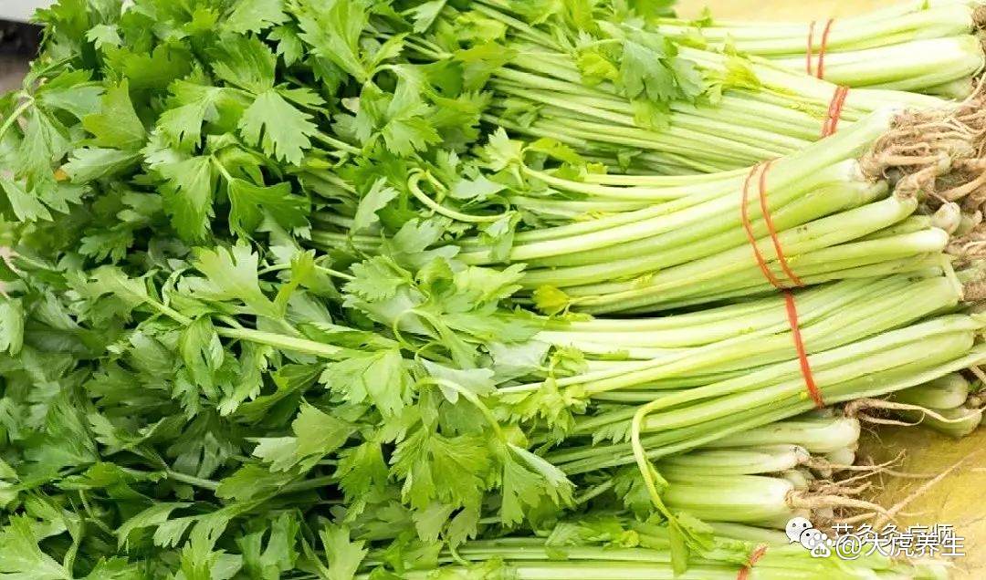 疗消化系统、心血管系统、泌尿生殖系统——太冲穴-消化系统,循环系统,和泌尿系统之间的联系