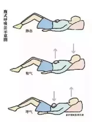 腹式呼吸的正确图图片