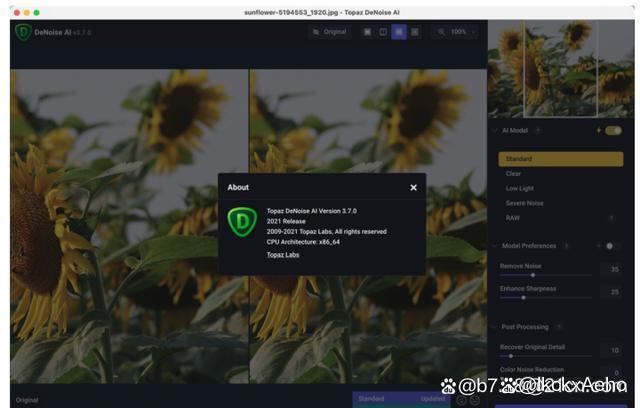 topaz denoise ai for mac(苹果电脑ai图像降噪软件)