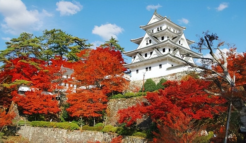 日本岐阜县景点美食推荐:游白川乡合掌村,泡下吕温泉,品飞驒牛