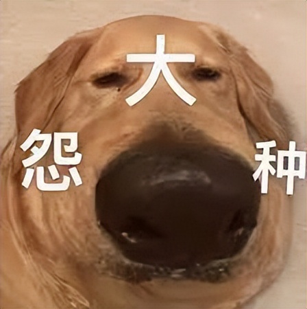 人在家中坐锅从天上来,英国两小哥因"乱丢垃圾"被罚近千英镑