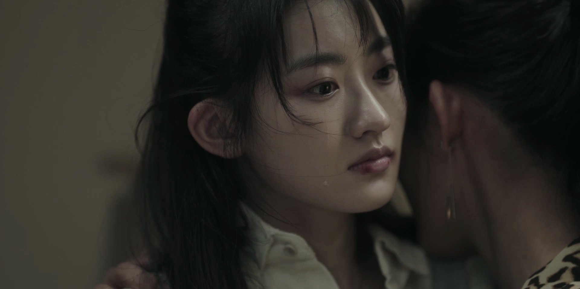 新帅集团是什么电视剧