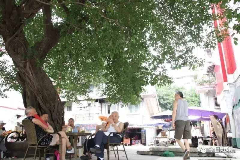 淮口镇|这些老街巷都变了样!