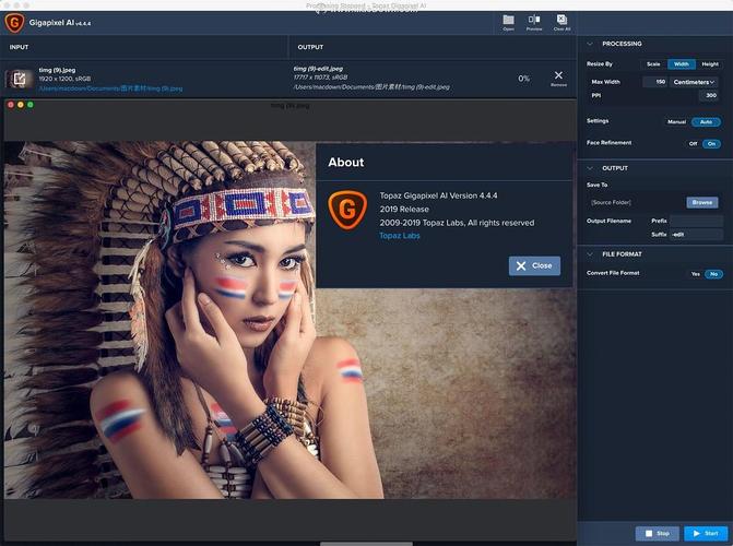 ai人工智能图片放大软件 topaz gigapixel ai 下载附安装激活教程