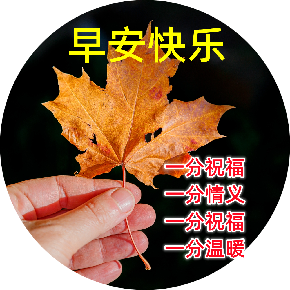 朋友圈新版早上好问候语短信 2023年新版早上好祝福语