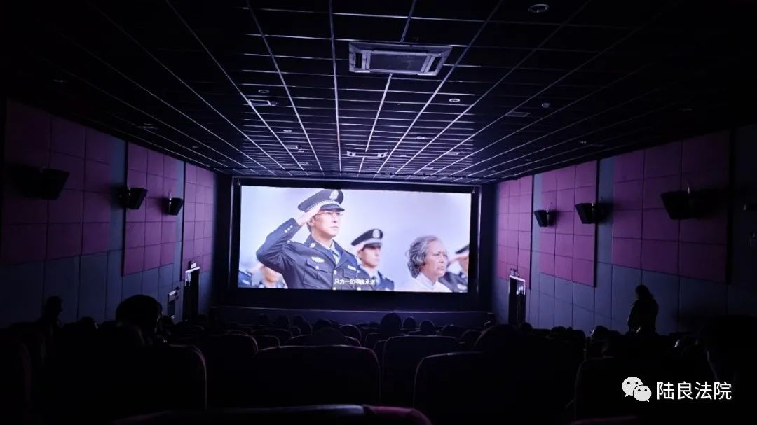 【教育整顿】陆良法院组织观看电影《平安中国之守护者》 学习先进