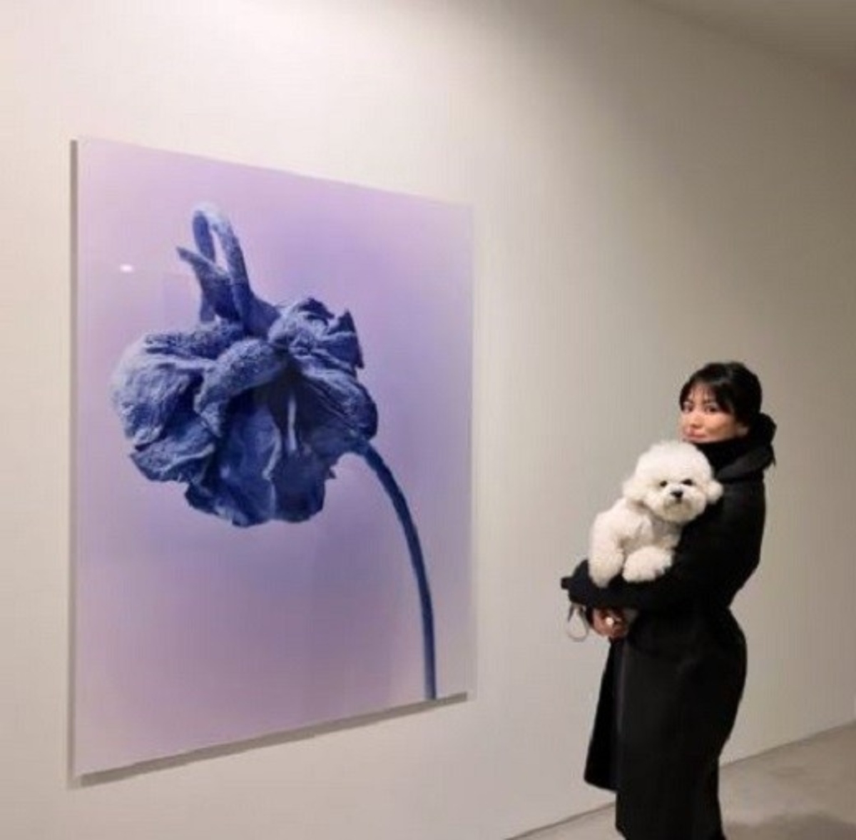 宋慧乔出席好友举办的个人展览 晒出与爱犬的萌照