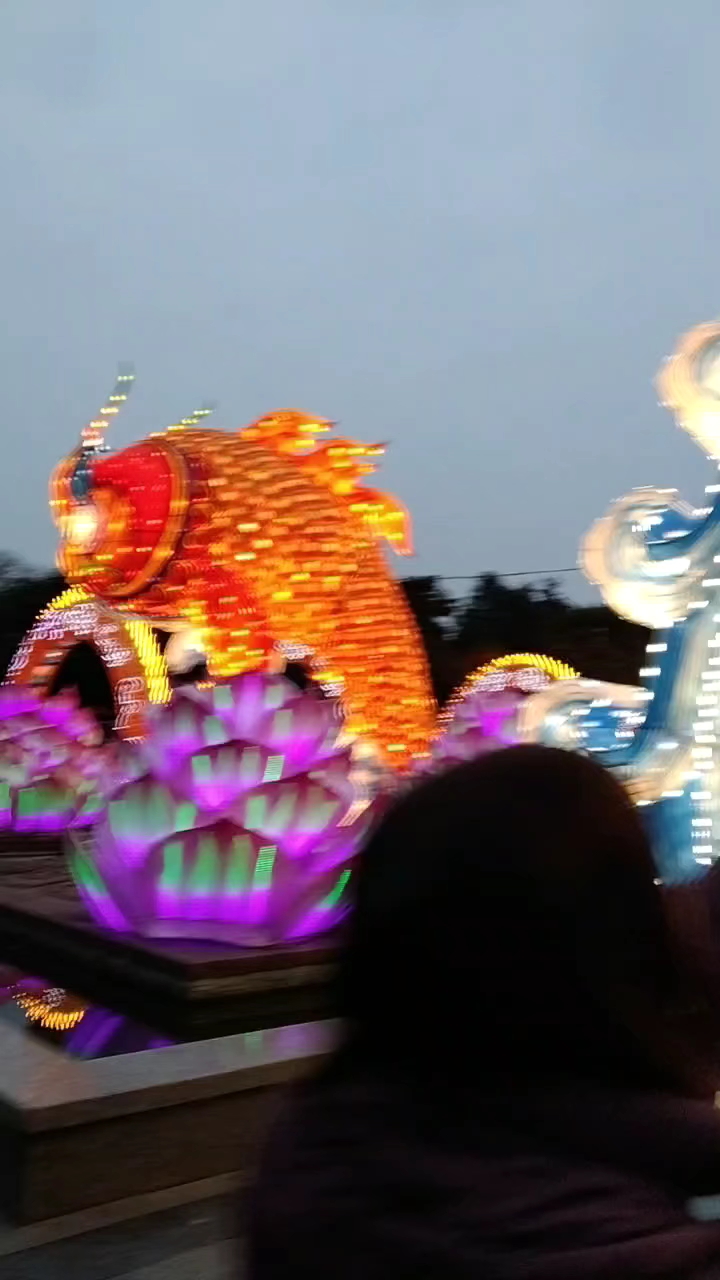 王城公园免费灯展人气爆棚