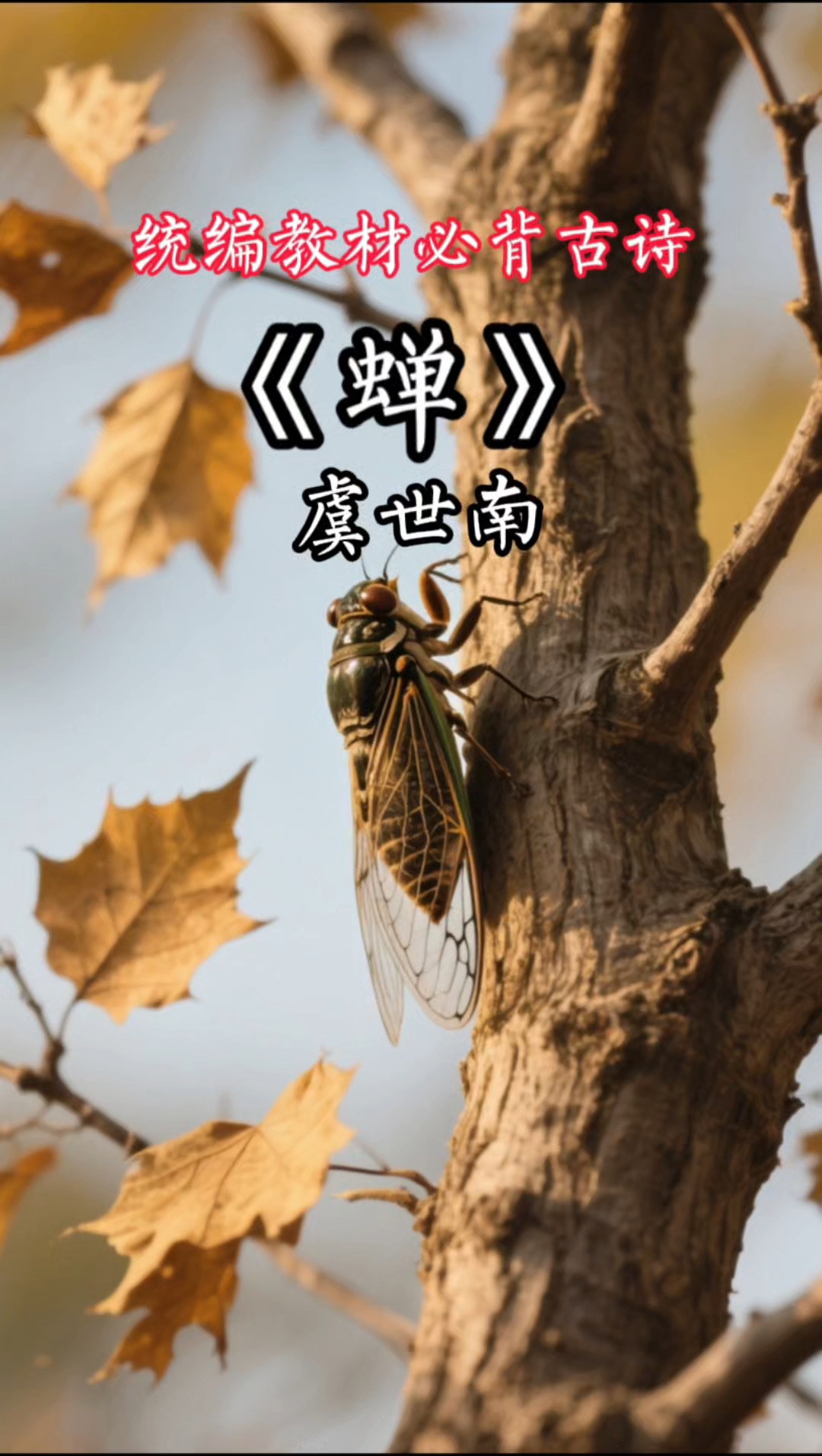 《蝉》虞世南,统编教材必背古诗