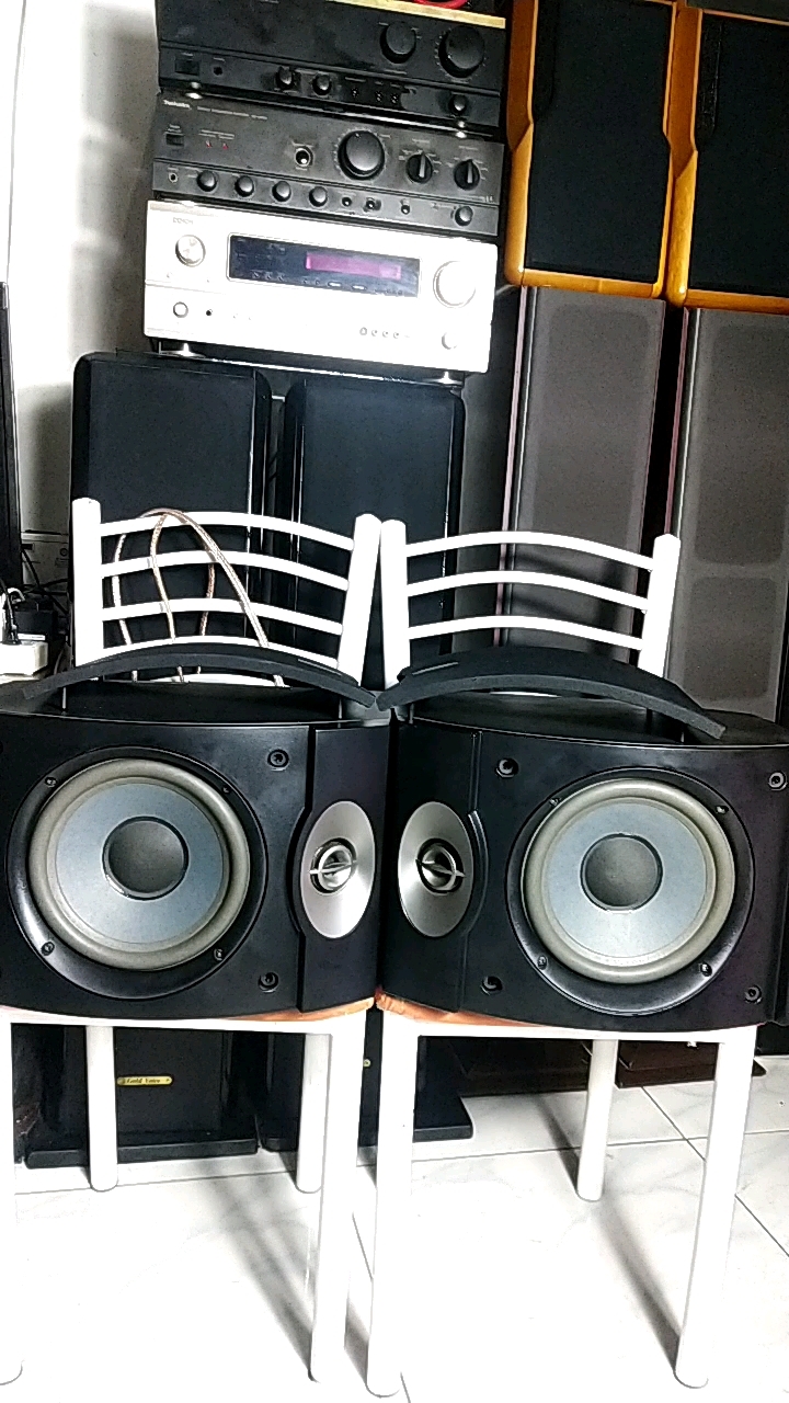 墨西哥进口正品bose博士301五代