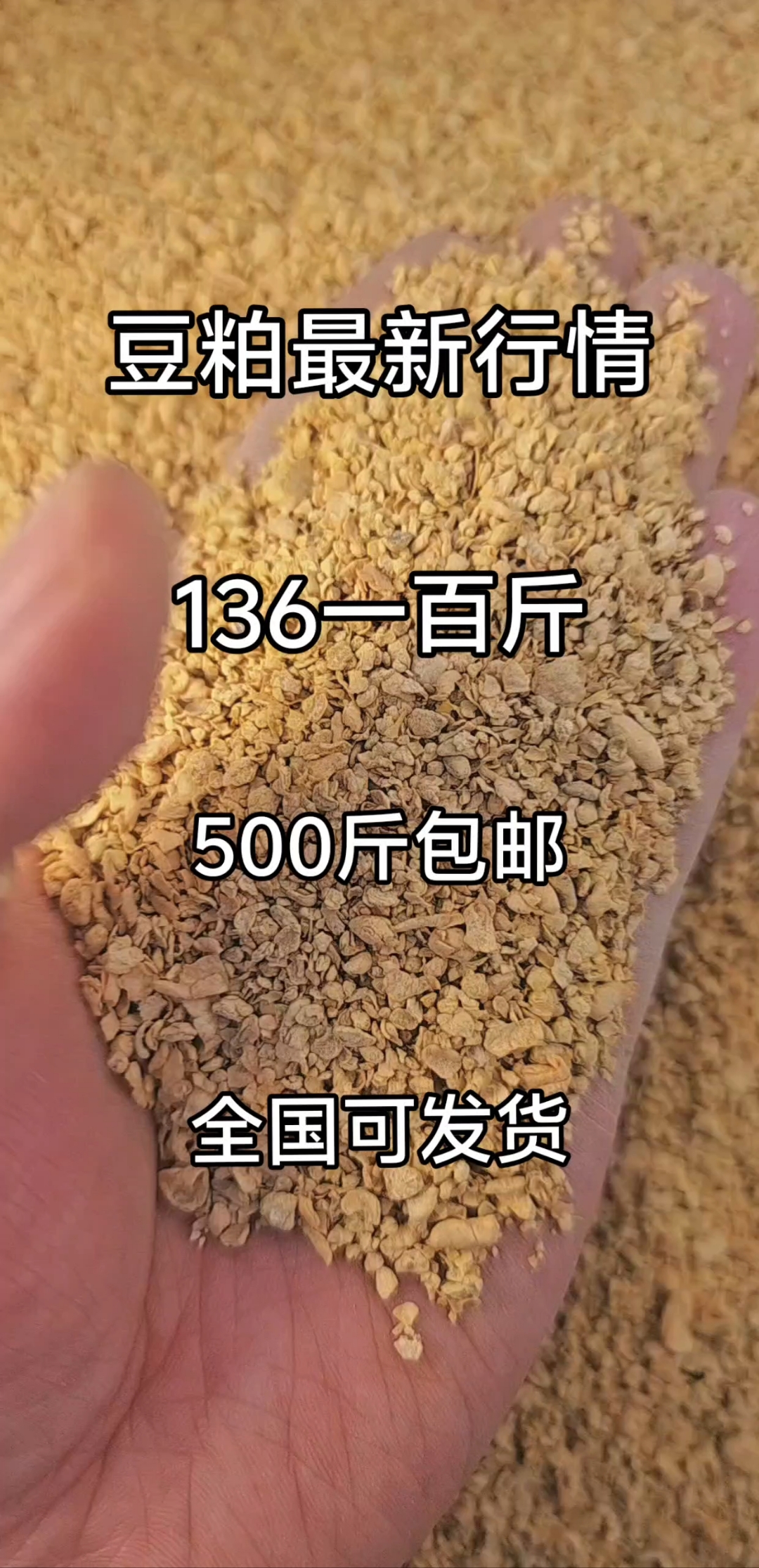 养殖专用豆粕
