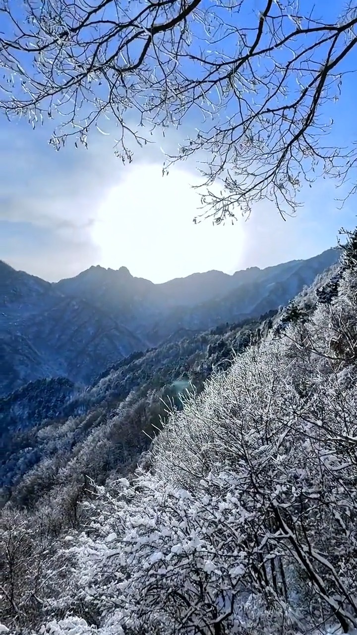 冬日里最美的风景图片