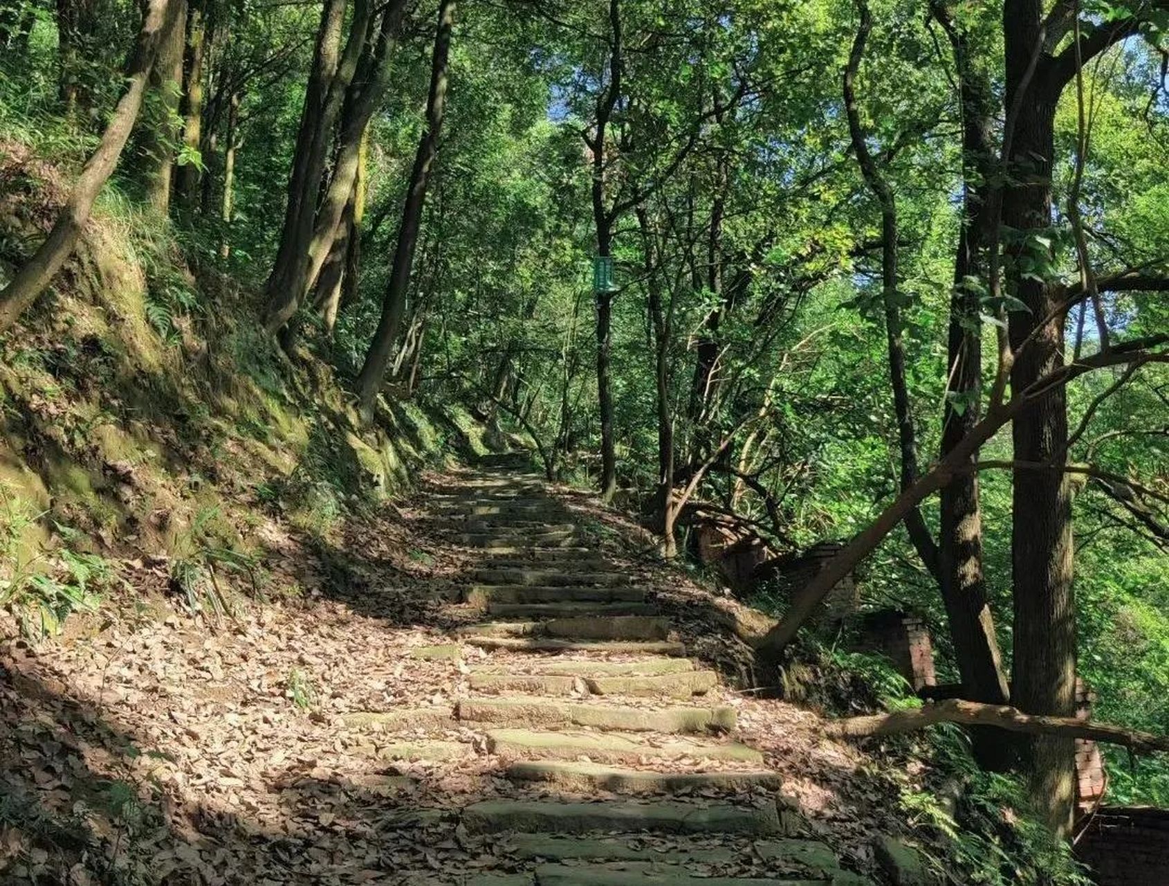 登上南岸的真武山,才能领略到真正的重庆之美!