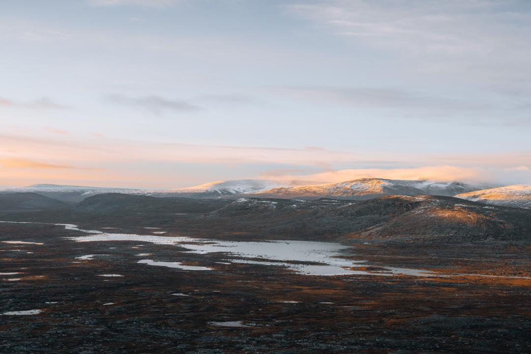 金融街海世界,总是走在春的前面,给了一个欣喜的空间