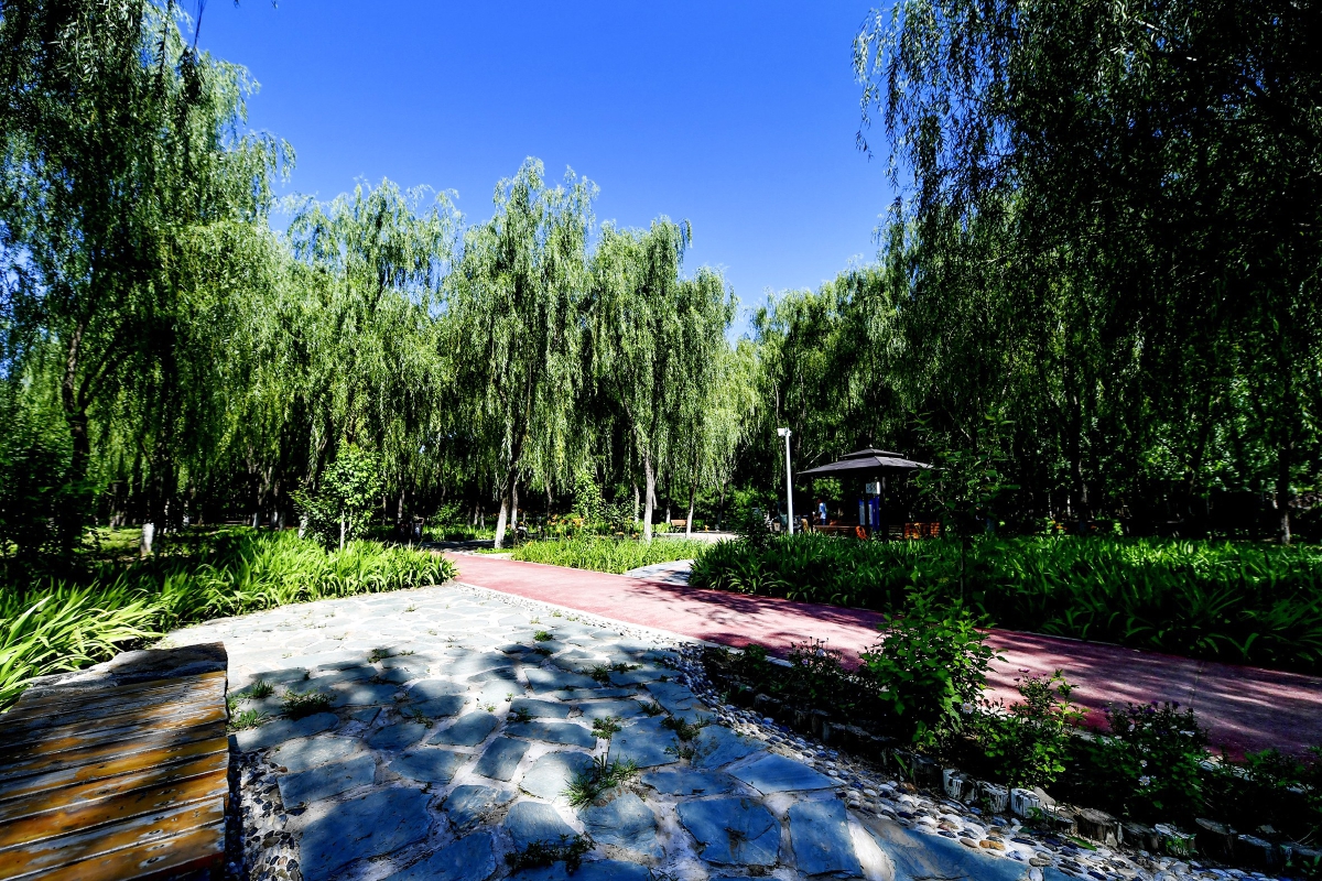 永乐店镇新增18个林间休闲广场