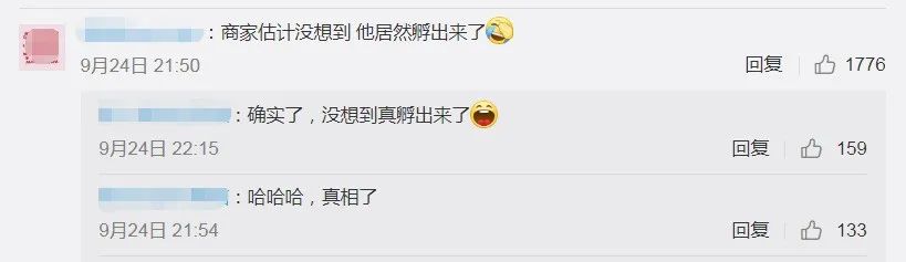 |男子网购孔雀蛋,精心照顾一个月,结果孵出……把网友逗乐了