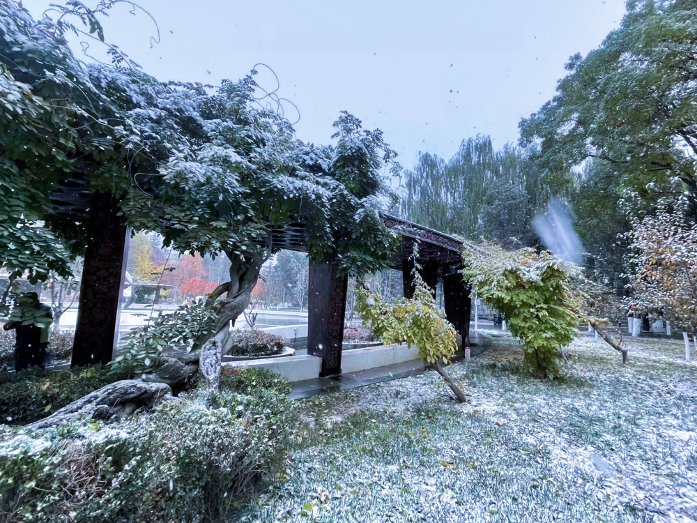 内蒙古民族大学雪景图片