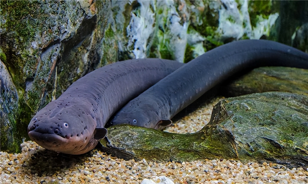 带你体验被电的12个瞬间!