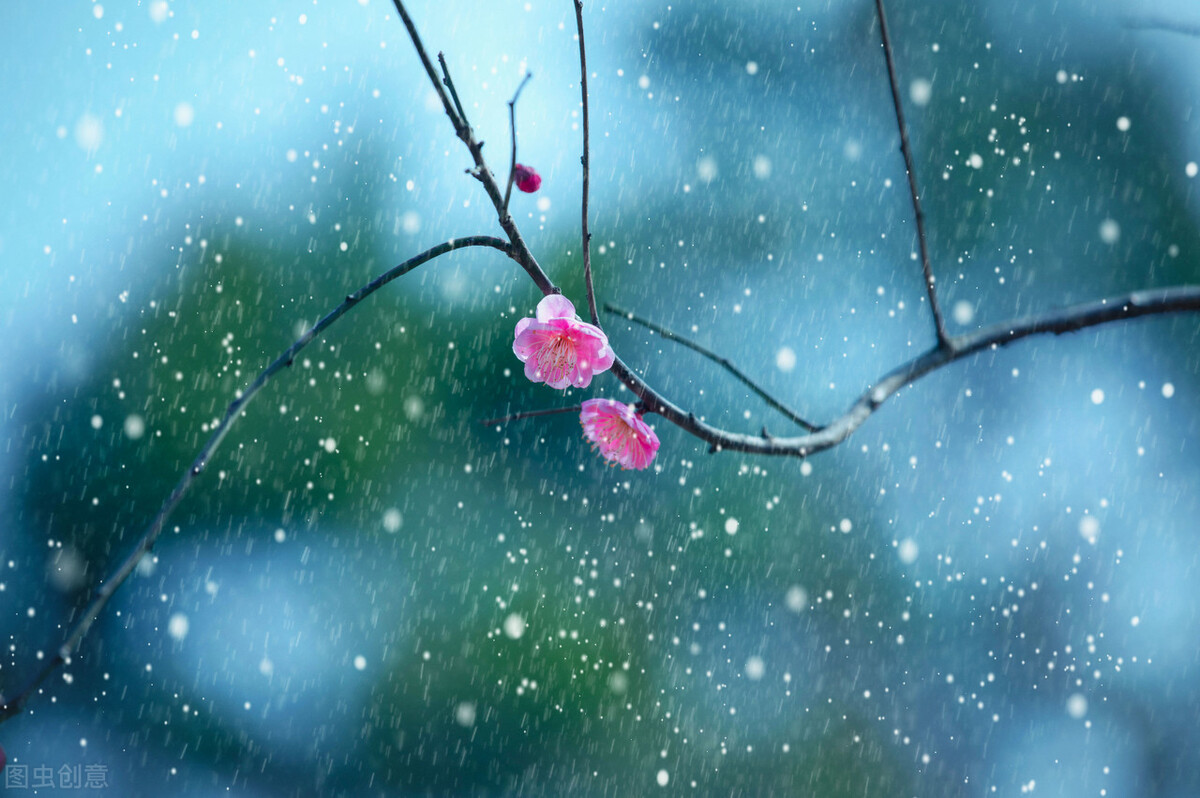 云对雨,雪对风——国风文学声律对句(一)