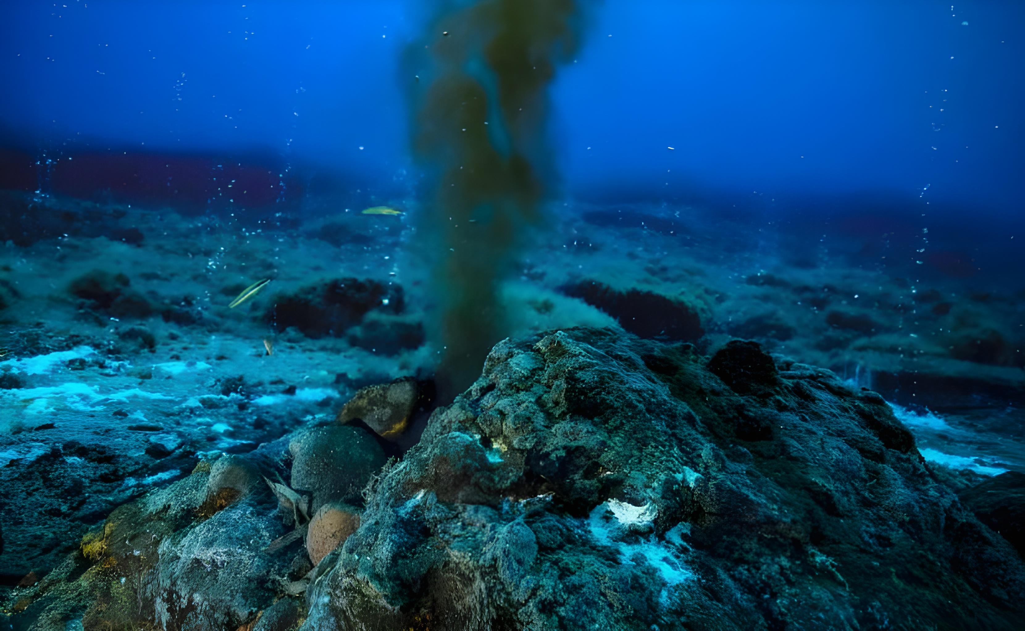 生活在450℃海底热泉旁的大虾,这温度,你确定不是虾火锅?
