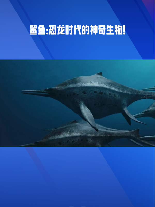 鲨鱼的奇特之处:4亿年的生命传奇!-度小视
