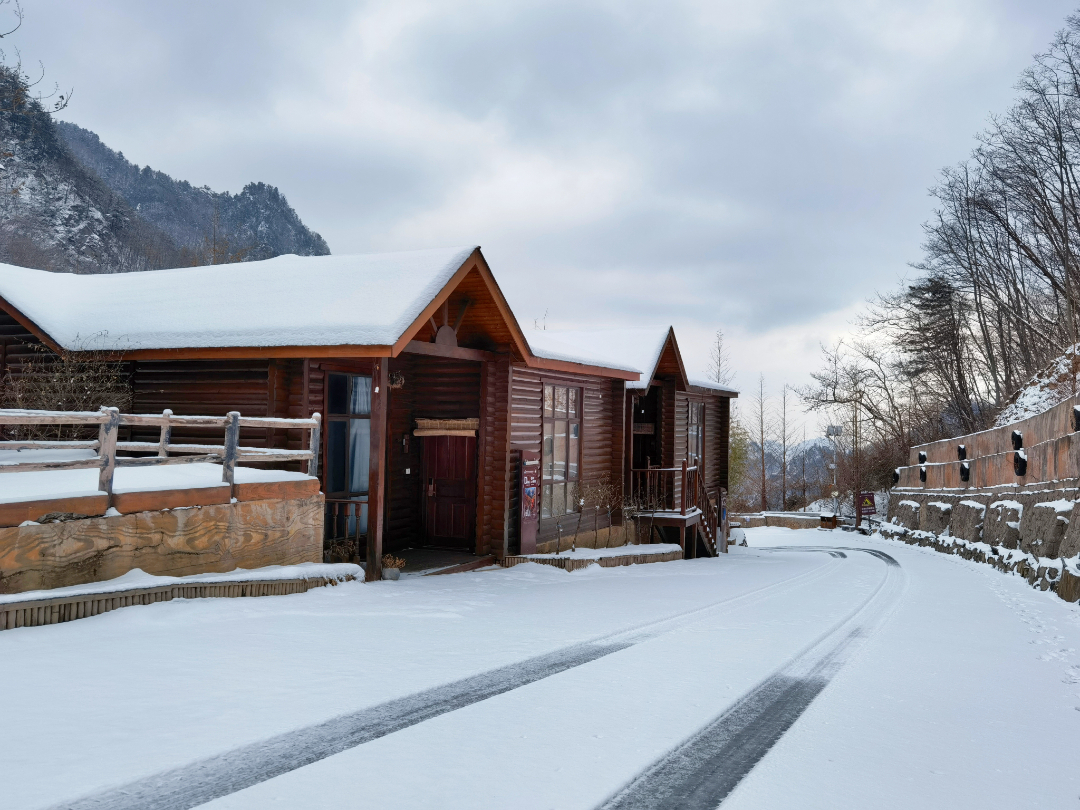 老界岭新年登山赛开始招募啦
