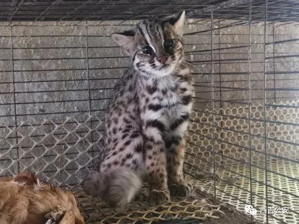 固原公安忠诚打造黄河流域生态安全保护屏障